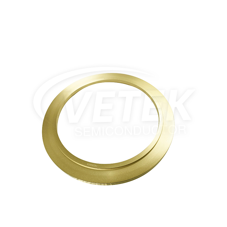 CVD TaC-coatingring